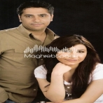 Fadel shaker